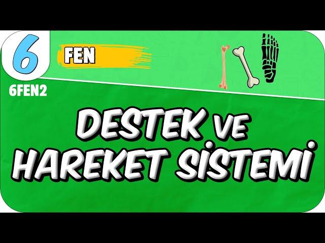 Destek ve Hareket Sistemi  6FEN2 #2025