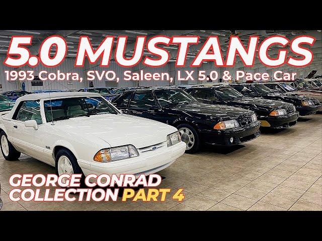 Are These The Best Fox Mustangs? '93 SVT Cobra, Saleen, 5.0 LX, SVO & Pace Car