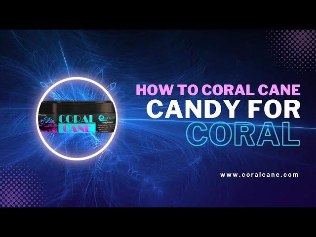 Coral feeding with Quantum Coral Cane and Bio-Enhance!