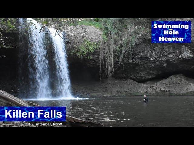 Swimming with a jumping fish at Killen Falls