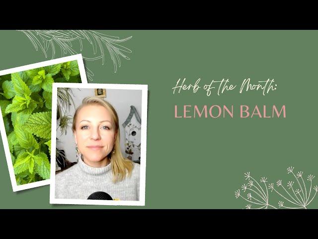 Herb of the Month: Lemon Balm