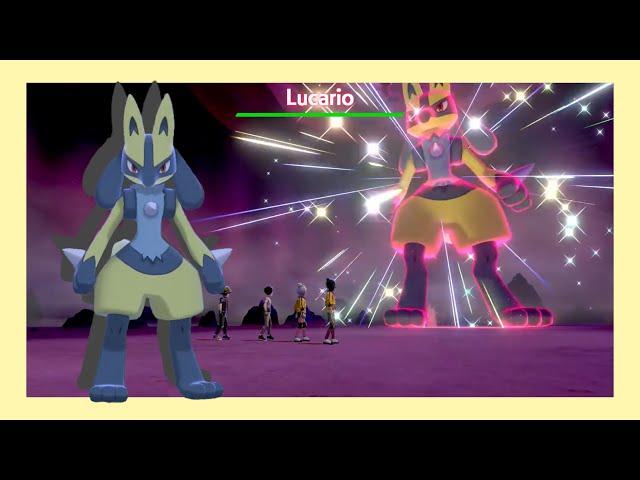 LIVE!! Lucario shiny en Raid (avec 6 IVs à 31!!!) sur Pokémon Épée