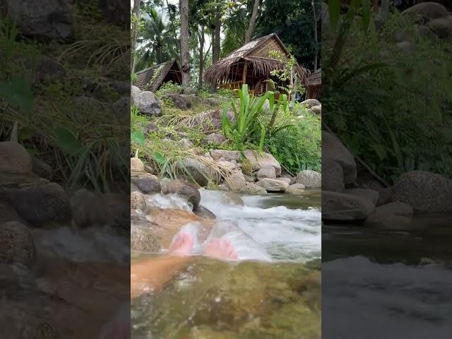 Гидромассаж ног на реке среди гор #travel #nature
