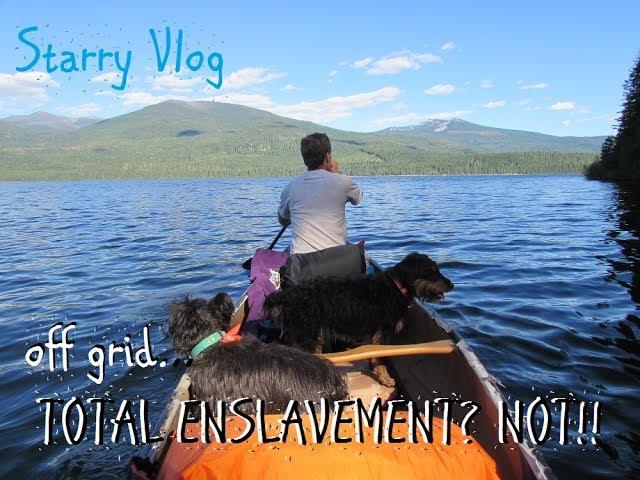 Starry Vlog: THIS IS HOMESTEAD  ENSLAVEMENT?