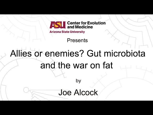 Allies or enemies? Gut microbiota and the war on fat | Joe Alcock