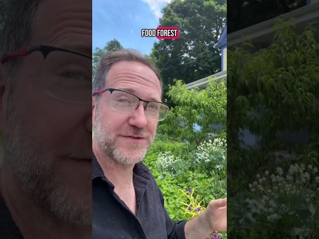 Do Food Forests Work? (Here’s my 25 years of experience)