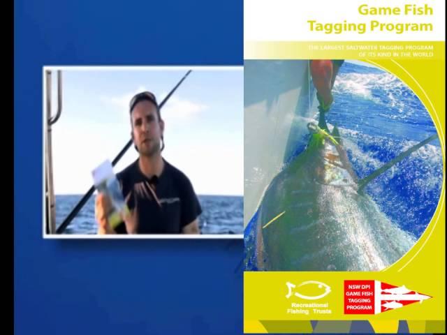 NSW DPI Game Fish Tagging Program