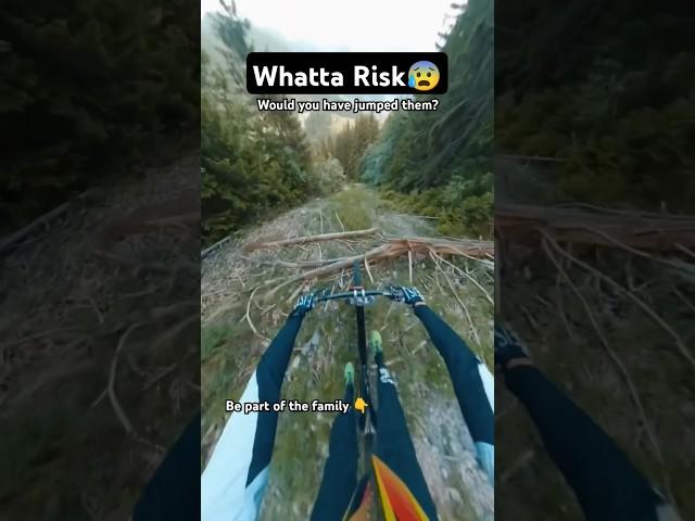 #Repost @antonivilloni ——Freeride #thekingmtb #mtb #freeridemtb