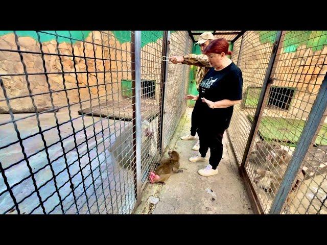 ДОЖДАЛИСЬ! Мы снова ведем нашу Люсю к жениху Елисею, и снова ШОУ с ИСТЕРИКОЙ!!!