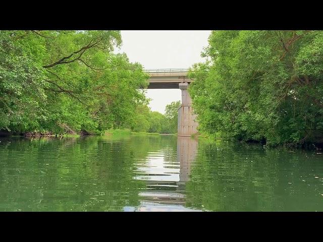 Река Осетр / The Osetr river 2019