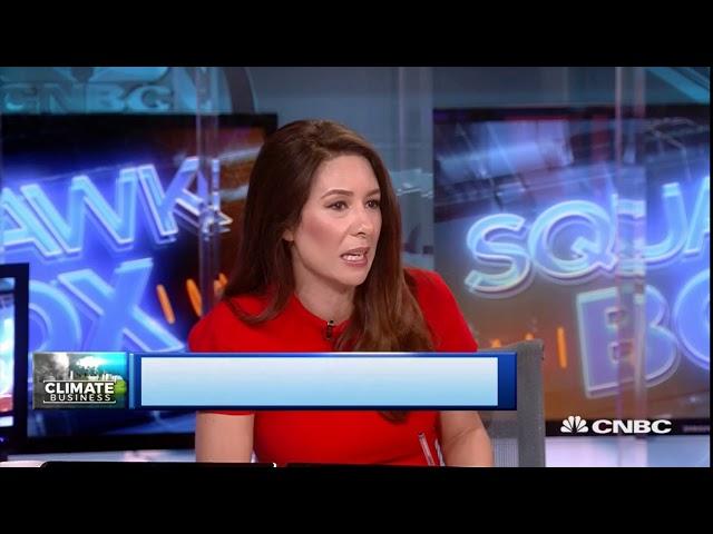 Vicente López-Ibor Mayor speaks to CNBC about the clean energy transition Aug 2018