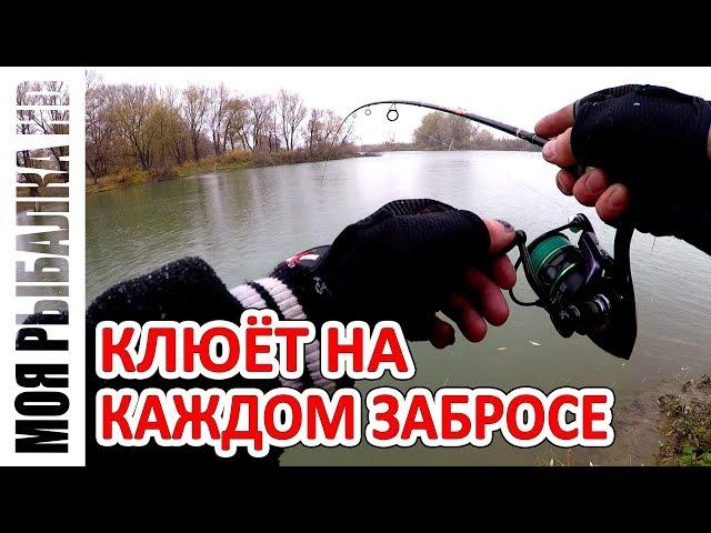 Джавастик косит всю рыбу | Первый снег | Ловим на отводной поводок | 2018