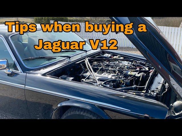 Jaguar V12 - What to Look Out For