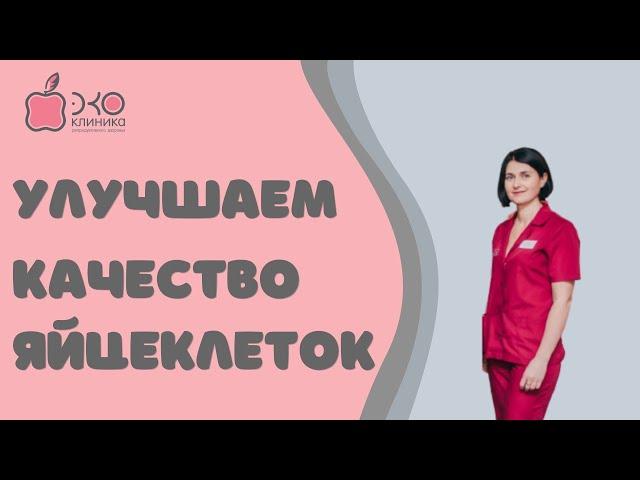 Качество яйцеклеток для ЭКО