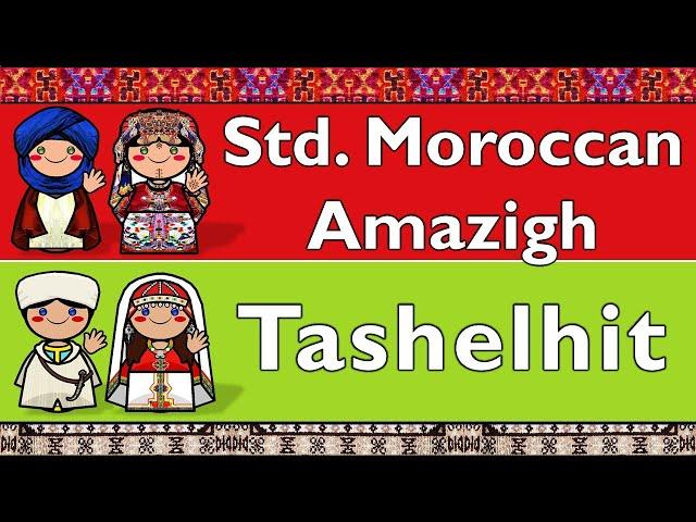 STANDARD MOROCCAN AMAZIGH & SHILHA/TASHELHIT