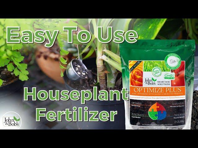 Houseplant Fertilizer | Easy Way To Fertilize Indoor Plants (100% Organic!)