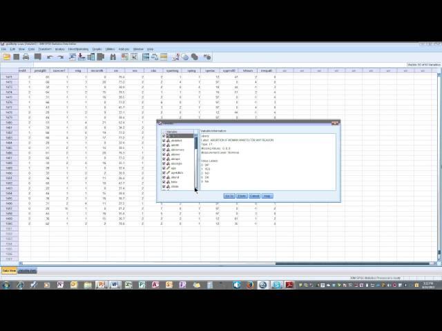 M1 SPSS Quick Start Utilities Variables Levels of Measurement Demo1