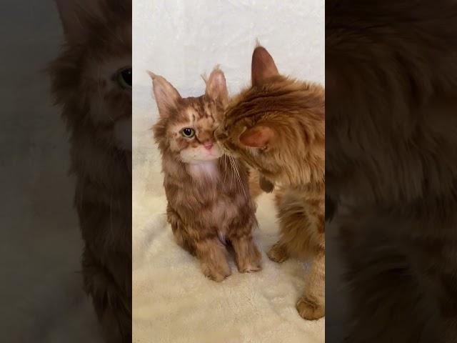 Perfect gift for obsessed cat Moms! 