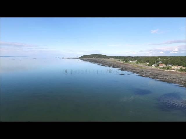 Piège à anguilles fleuve St-Laurent Rivière Ouelle