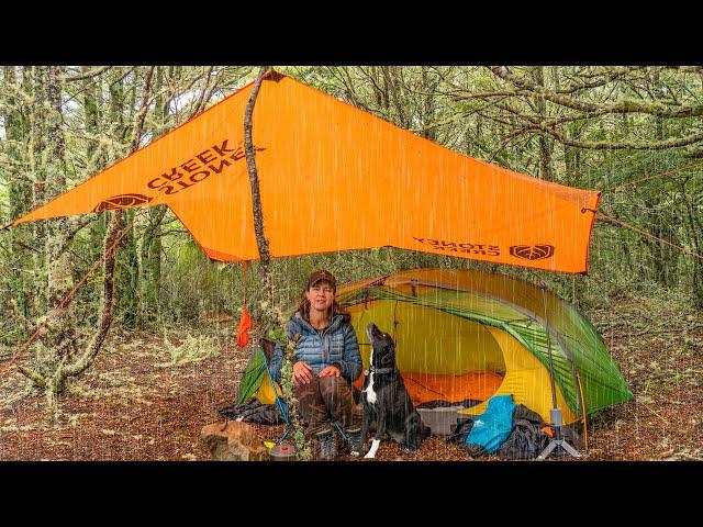 Camping Alone in Heavy Rain and Thunder (with my Dog)