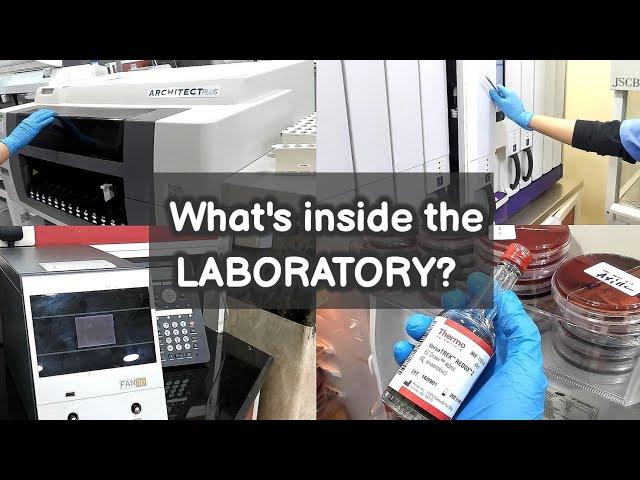 "A Look Inside The Lab"                                            |MEDICAL LABORATORY SCIENCE