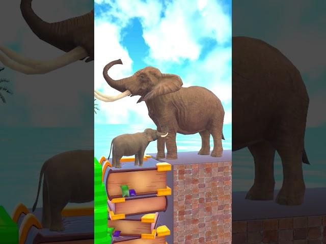 Tiger  vs Elephant - Knowledge vs Money #shorts #3danimals