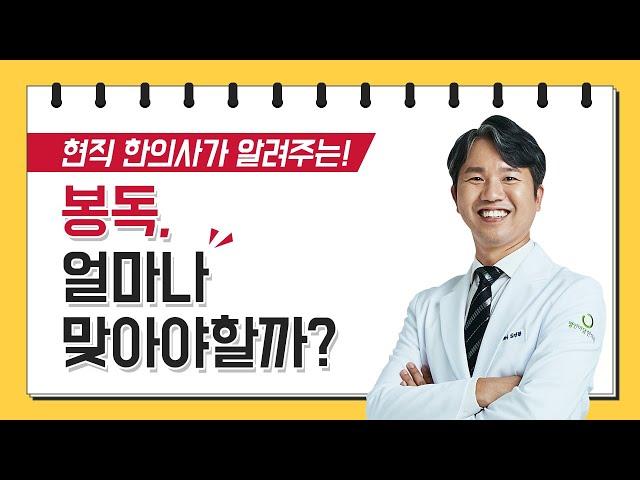 봉독 얼마나 맞아야할까?