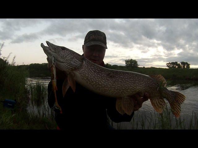 Savage Gear Hybrid Pike - Fish Eat Fish