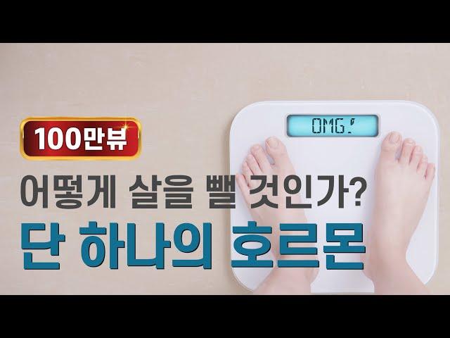 살을 빼기 위해 알아야 하는 단 하나의 호르몬 인슐린