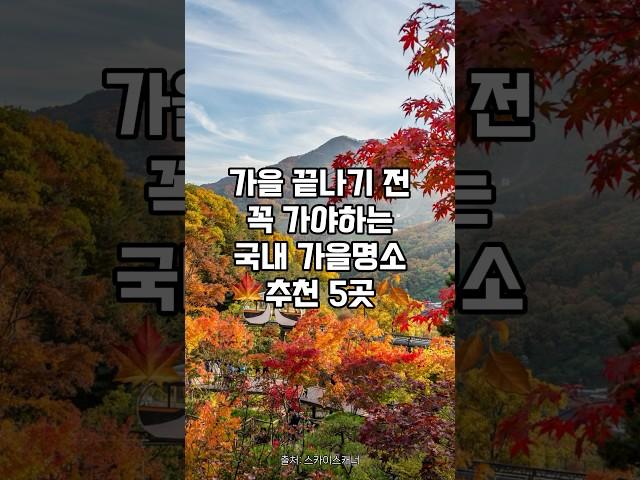 가을 끝나기 전 꼭 가야하는 국내 단풍 명소 추천 5곳 #가을 여행지 베스트 5 #국내 가을 여행지