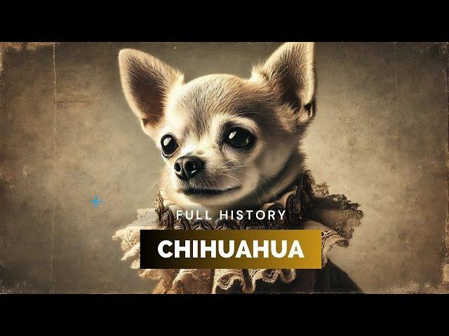 Chihuahua - Full History