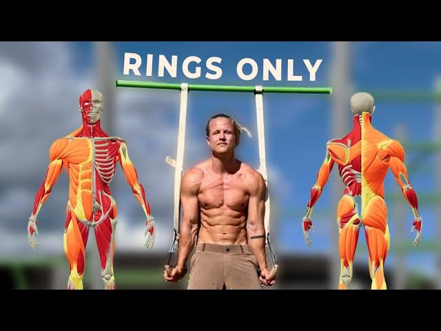 The 5 Only Gym Ring Exercises You Need! Beginner to Advanced