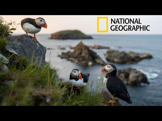 Zero to Nat Geo | A Wildlife Photographer's Journey