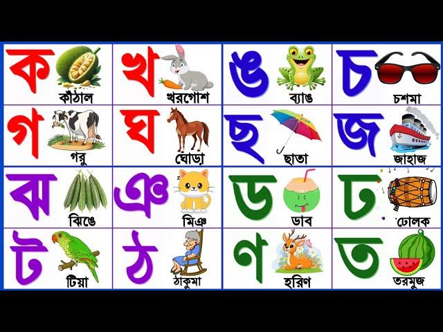 বাংলা ব্যজ্ঞনবর্ন ক খ গ ঘ | Learn Bengali Alphabet Banjonobarno |ক কাকাতুয়া খ খরগোশ | kkhggha