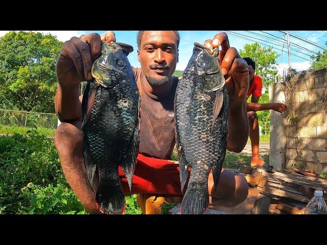 GIANT CAPTURE ROADSIDE CATCH N COOK