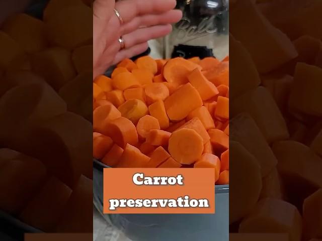 How The Amish Preserve Carrots For 2 Year's Without Refrigeration! #shorts