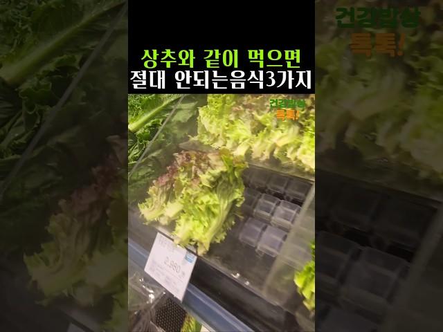 상추와 함께 먹지말아야할 음식3가지 #건강밥상 #건강정보