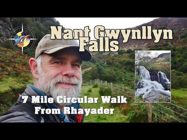 Rhayader to Nant Gwynllyn Falls | 7 Mile Circular  On The Edge Of The Cambrian Mountains