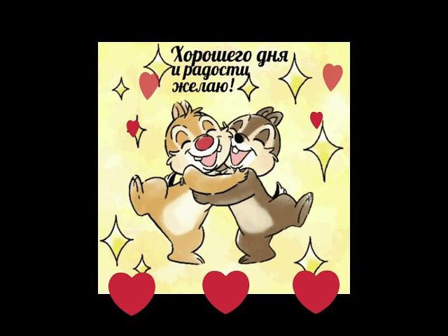 Хорошего дня