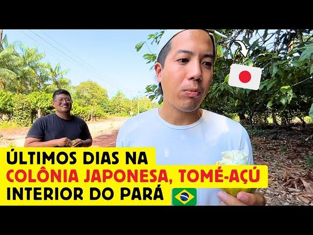 Últimos dias de um japonês na colônia japonesa Tomé-Açu, Pará