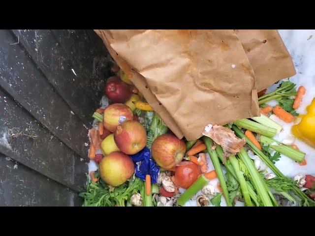 How To Start Composting Before SPRING Planting