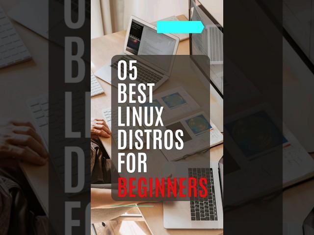 Top 5 Best Linux distros for Beginners #linux #beginners