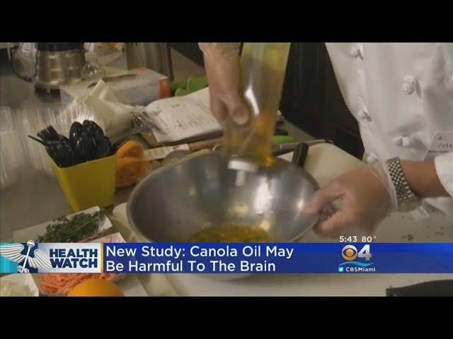 Study: Canola Oil May Be Harmful To The Brain