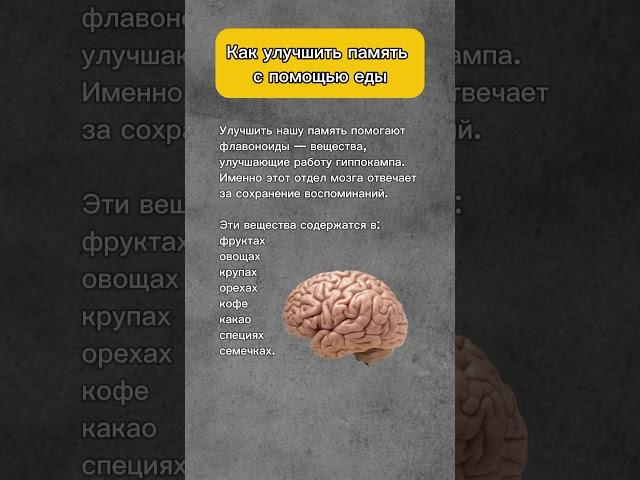 Как улучшить память с помощью еды