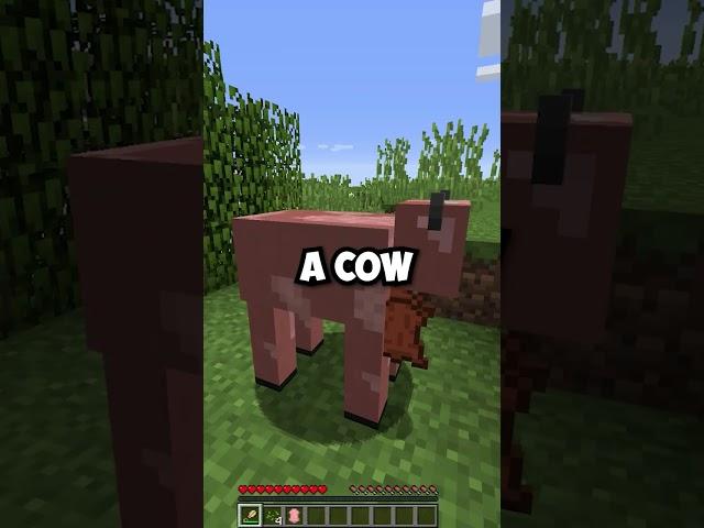 What If You Shear A Pig in Minecraft?