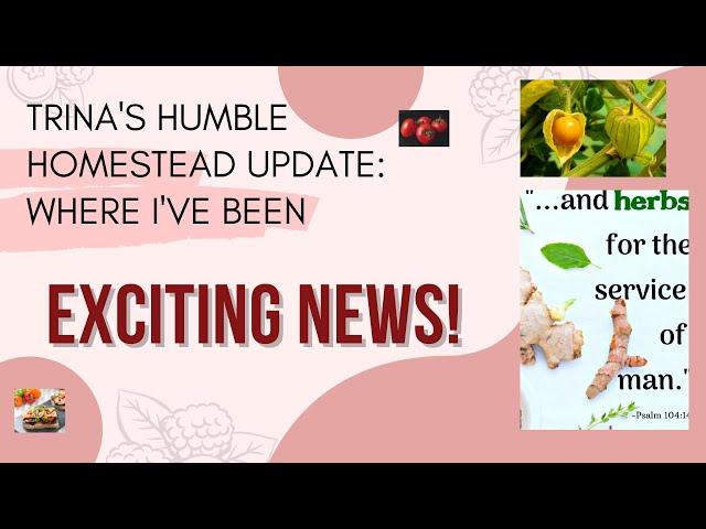 Trina's Humble Homestead Update: Where I've Been and Exciting News!