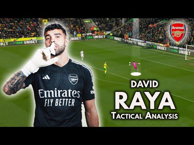 How GOOD is David Raya? ● Tactical Analysis | Skills (HD)