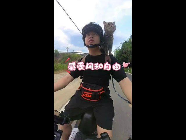 小猫是为了感受风和自由 而选择了摩托 #机车 #猫#我和我的猫 #猎变 #猎变闪电狗