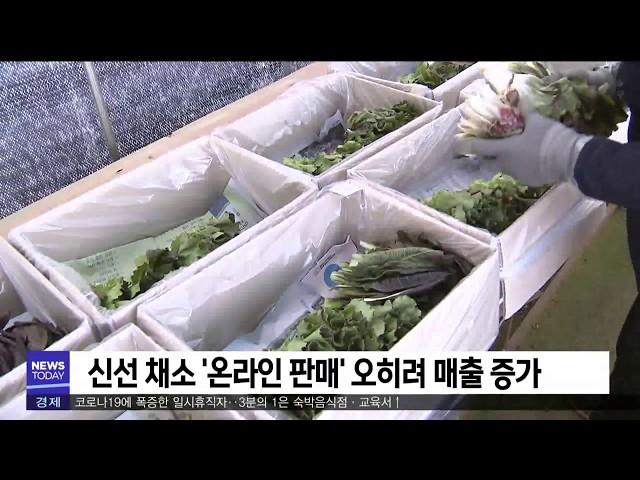 코로나 여파로 농업도 희비 엇갈려-김건엽[포항MBC뉴스]
