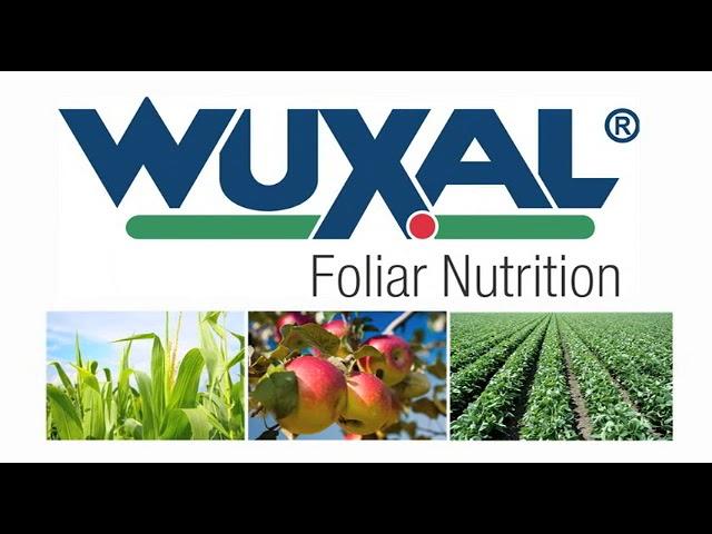 Wuxal swal corporation ltd